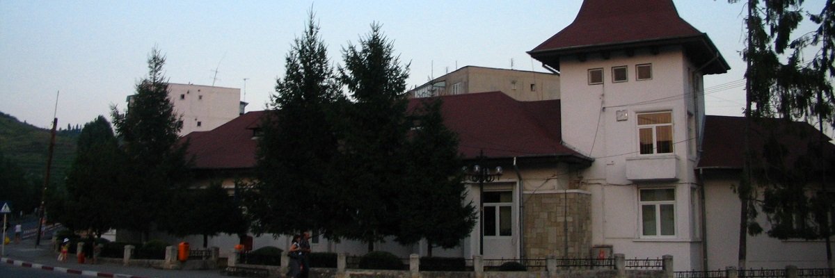 Lista firme orasul Boldesti Scaeni