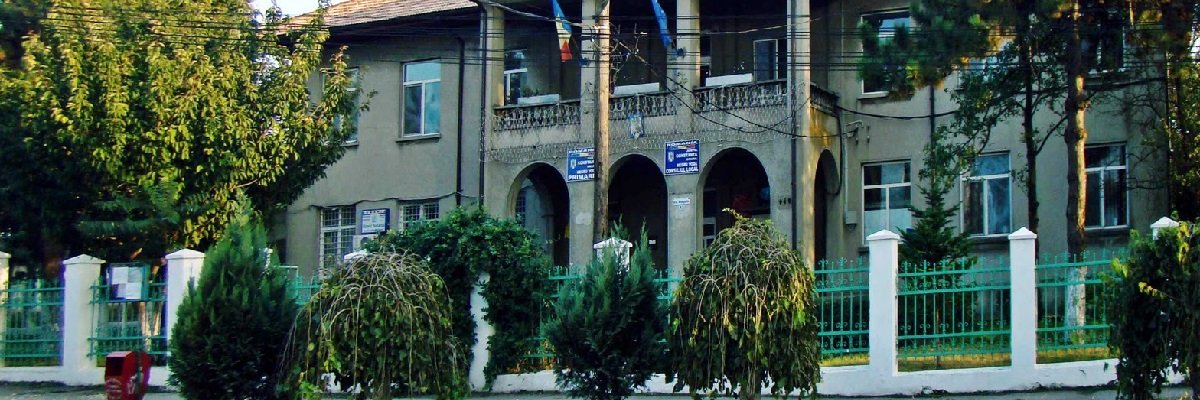 Lista firme orasul Negru Voda