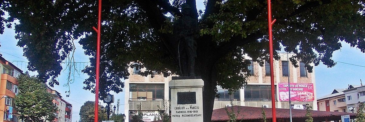 Lista firme orasul Panciu