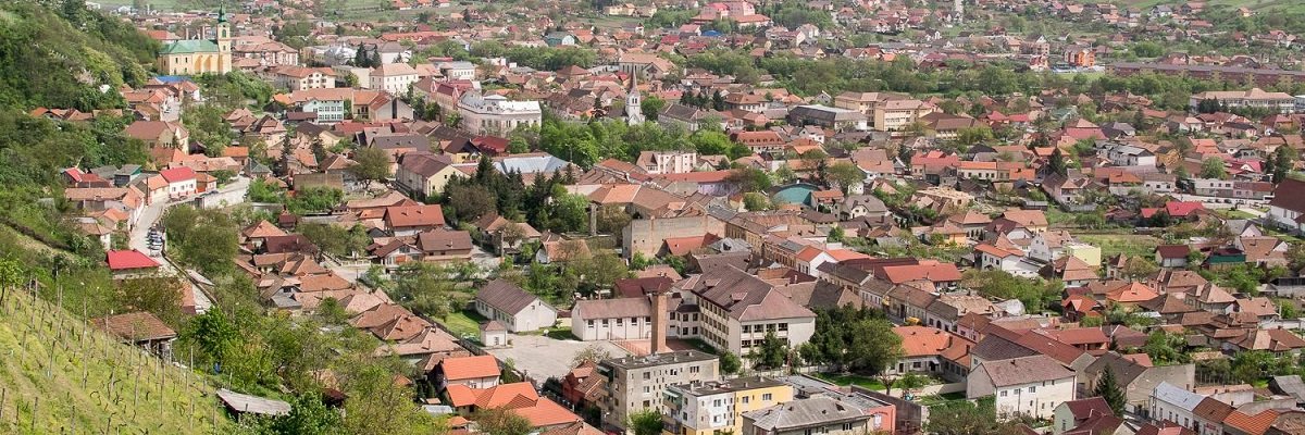Firme orasul Simleu Silvaniei Lista firme orasul Simleu Silvaniei
