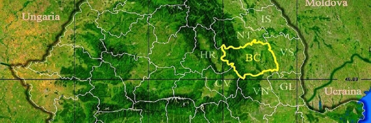 Firme judetul Bacau Lista firme judetul Bacau