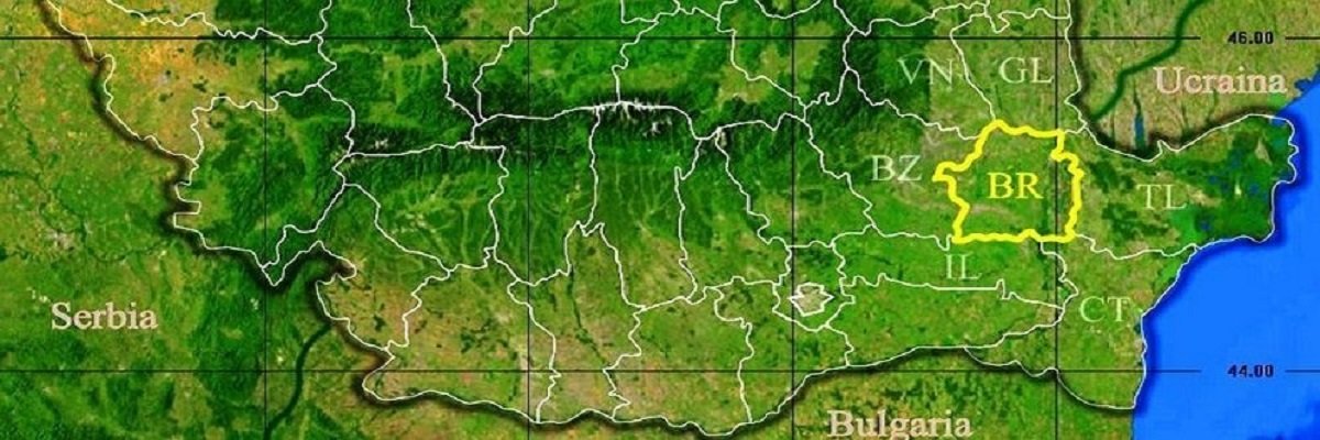 Firme judetul Braila Lista firme din judetul Braila