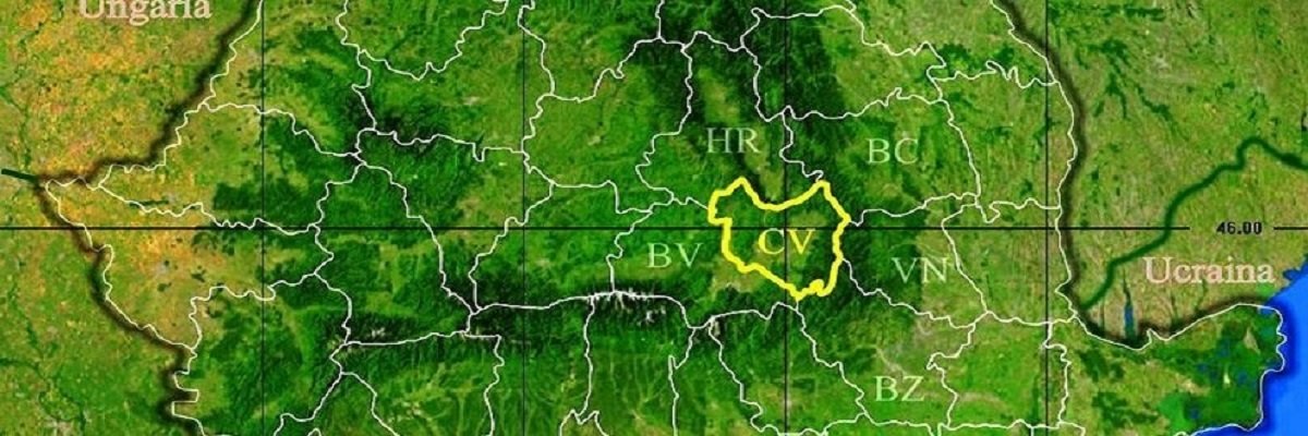 Firme judetul Covasna Lista firme judetul Covasna