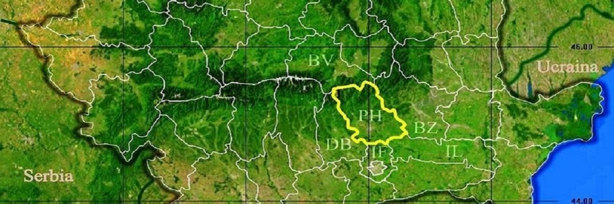 Firme judetul Prahova Lista firme din judetul Prahova